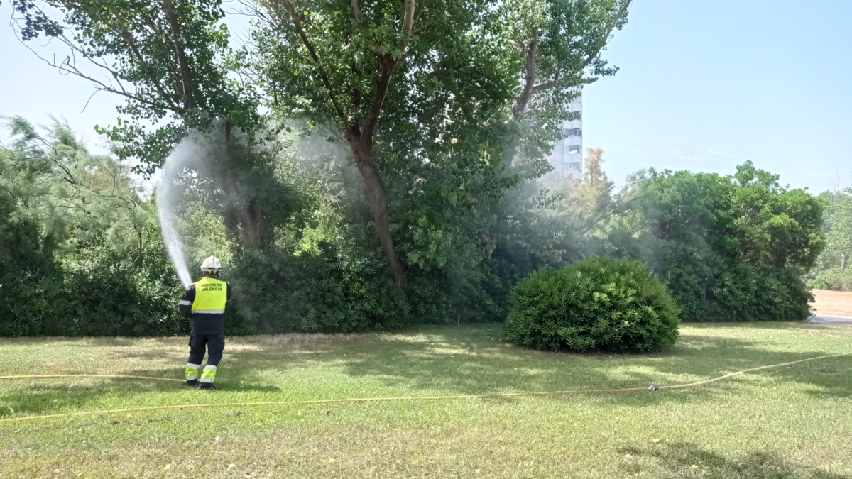 0616 Simulacre incendis El Saler